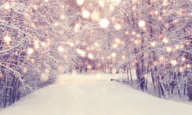 Colorful snowflakes on snowy park background. Christmas background. Xmas snowfall in park.